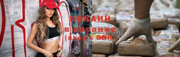 молекула духа Арсеньев