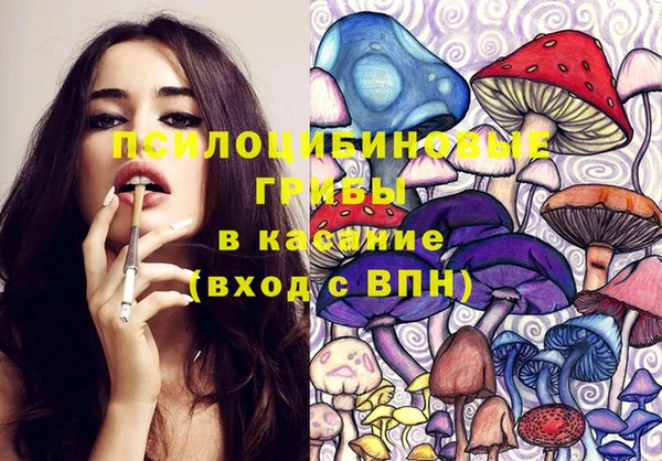 экстази Богородицк