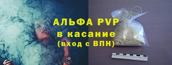 молекула духа Арсеньев