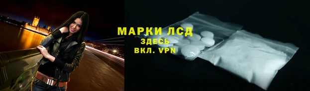 молекула духа Арсеньев