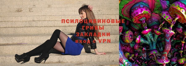 ПСИЛОЦИБИНОВЫЕ ГРИБЫ Богородск
