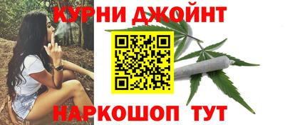 сатива Краснодар
