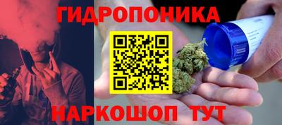 стафф Коммунар
