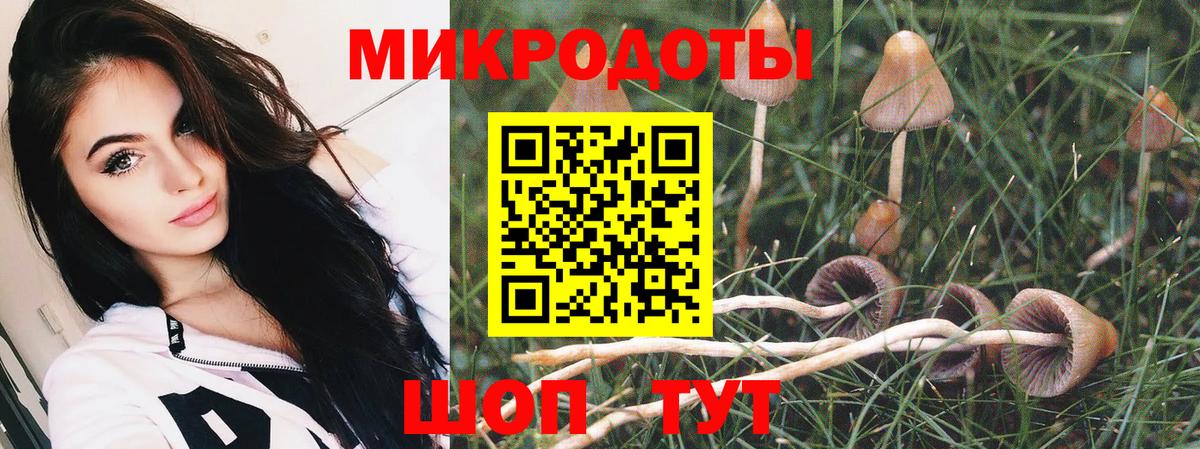 Псилоцибиновые грибы Magic Shrooms  Вход с VPN  Коломна 